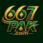 667Pak Game logo