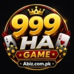 999HA Game