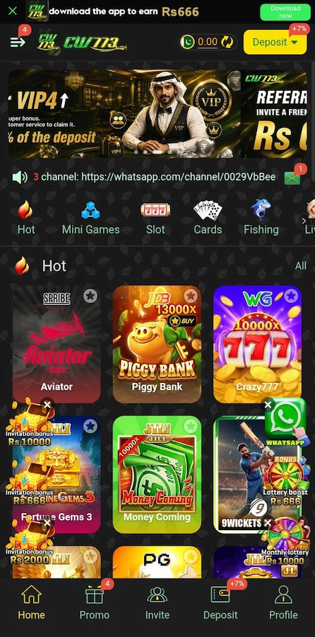 CW773 Game-Interface