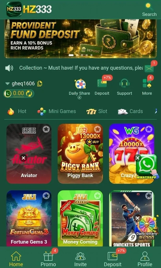 Hz333 Game interface