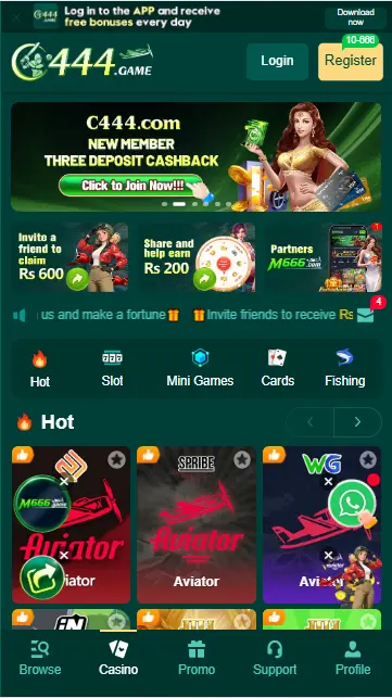 C444-Game-Interface