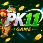 PK11 Game