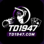 TD1947 Game