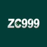 ZC999-Game-Icon